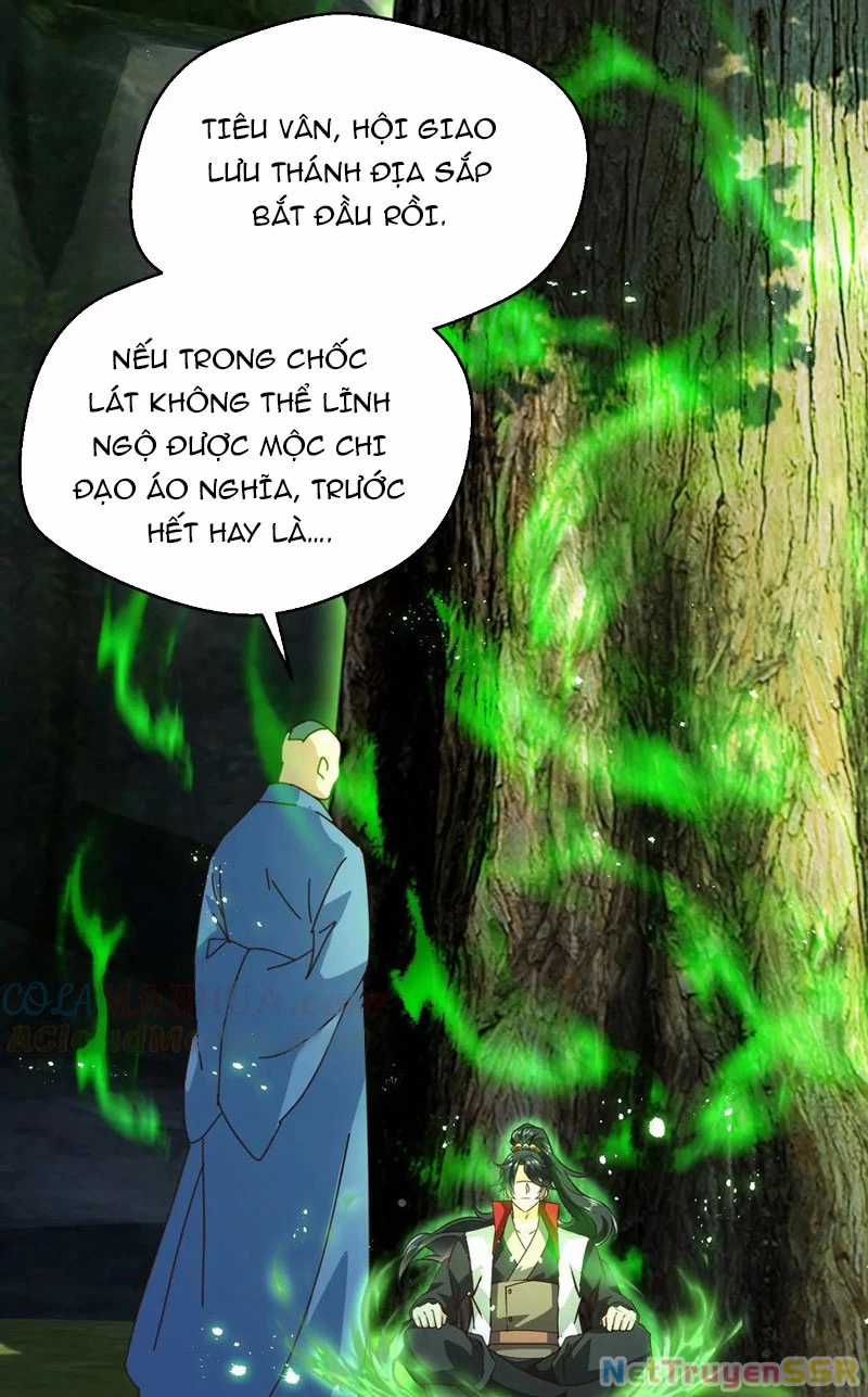 Vô Địch Đốn Ngộ - Chapter 265 - Trang 35