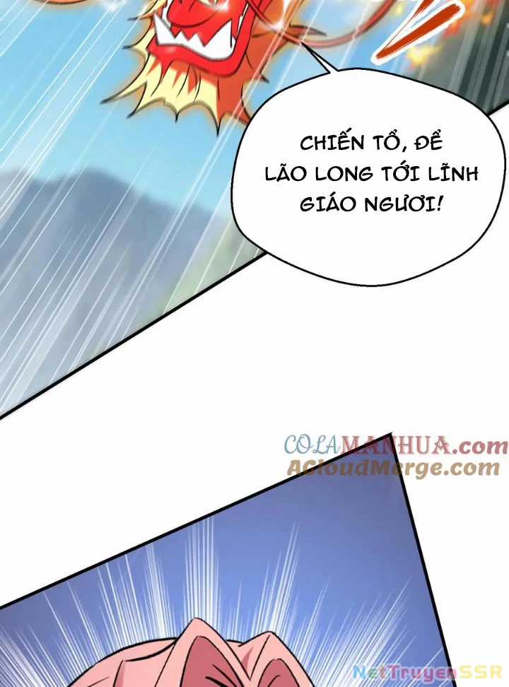 Vô Địch Đốn Ngộ - Chapter 311 - Trang 11