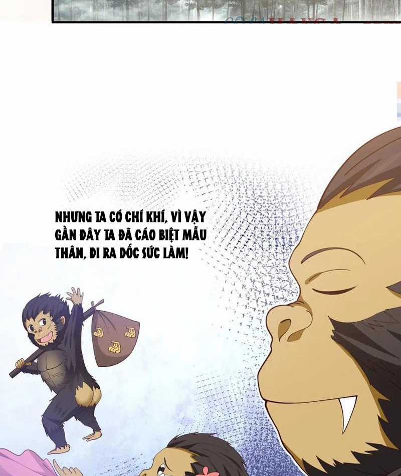 Vô Địch Thật Tịch Mịch - Chapter 33 - Trang 15