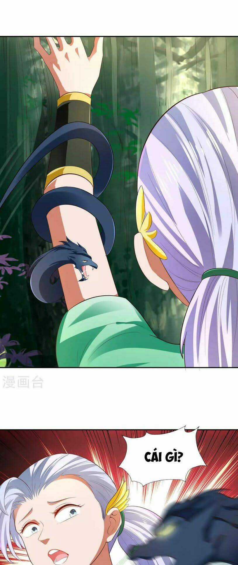 Võ Linh Kiếm Tôn - Chapter 20 - Trang 3