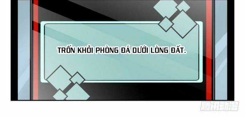 Võ Lực Chí Mạng - Chapter 19 - Trang 24
