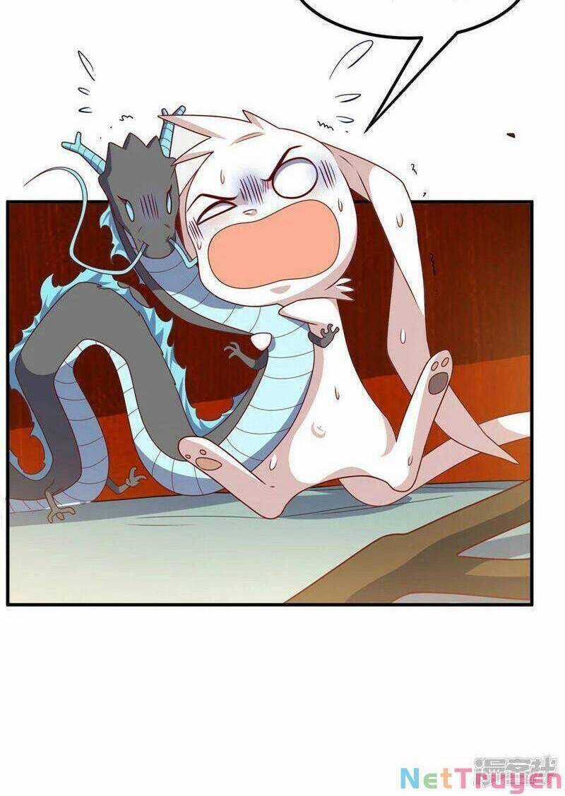 Võ Nghịch Cửu Thiên - Chapter 245 - Trang 8