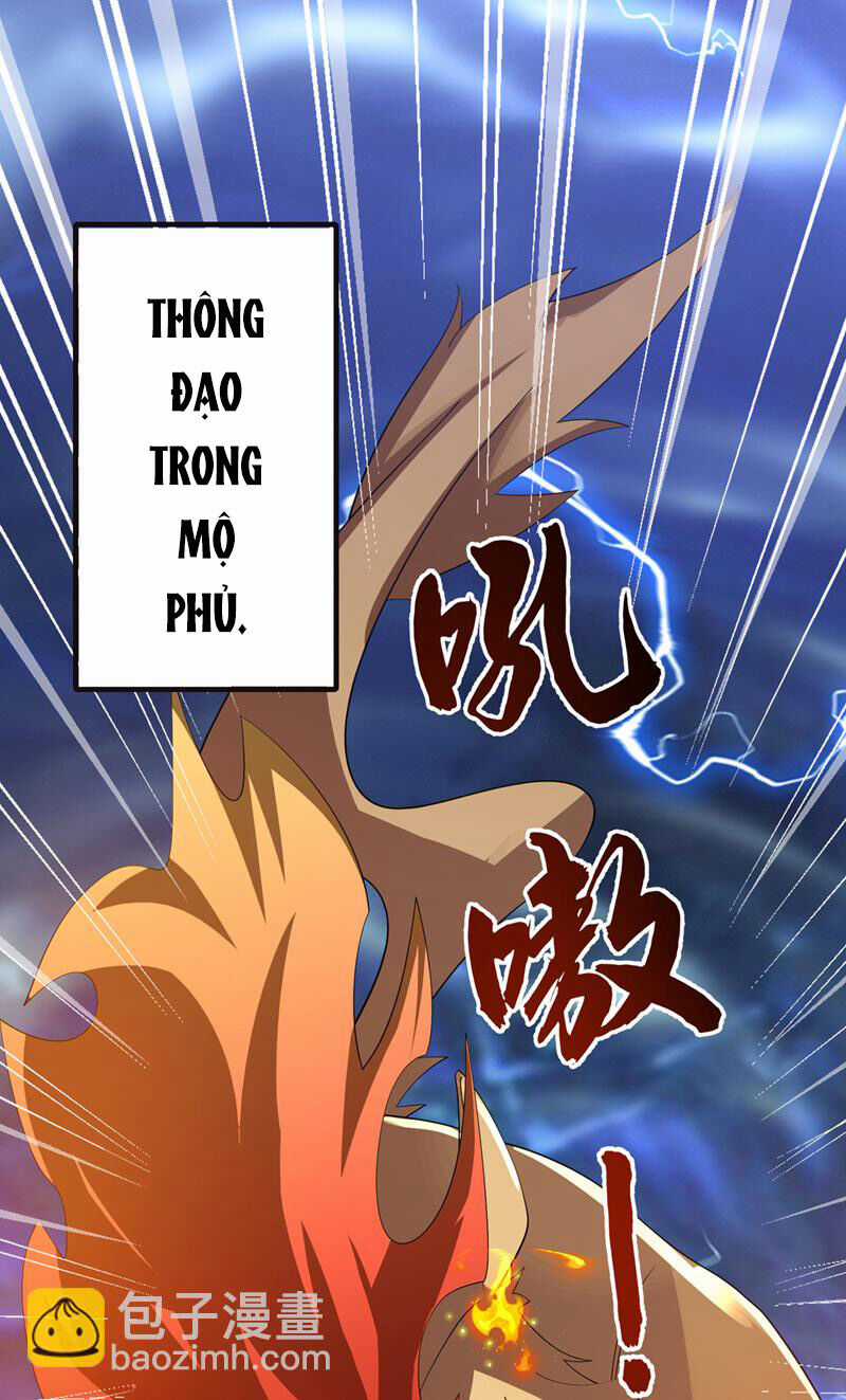 Võ Nghịch - Chapter 482 - Trang 4