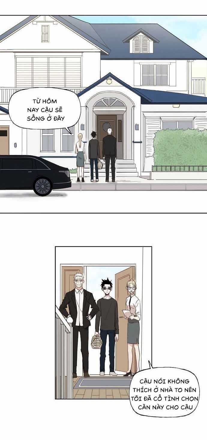 Võ Sĩ Quyền Anh - Chapter 11 - Trang 10