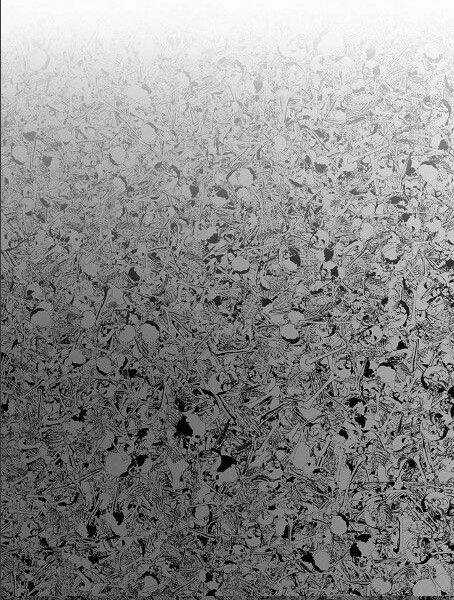 Võ Sĩ - The Boxer - Chapter 103 - Trang 61