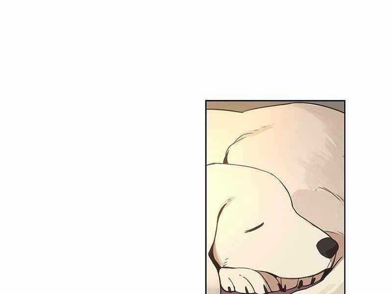 Võ Sĩ - The Boxer - Chapter 116 - Trang 17