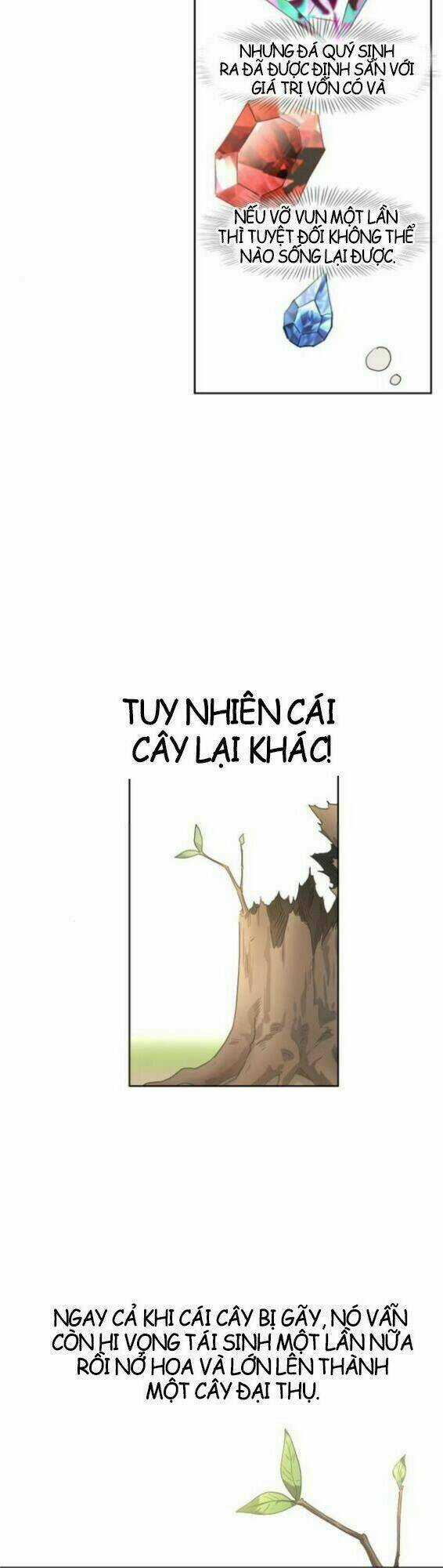 Võ Sĩ - The Boxer - Chapter 33 - Trang 35