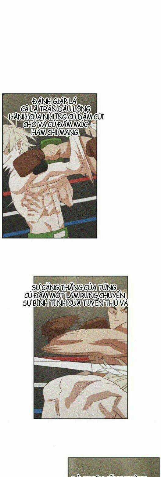 Võ Sĩ - The Boxer - Chapter 36 - Trang 16