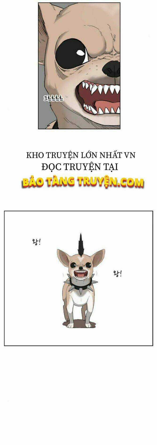 Võ Sĩ - The Boxer - Chapter 75 - Trang 19