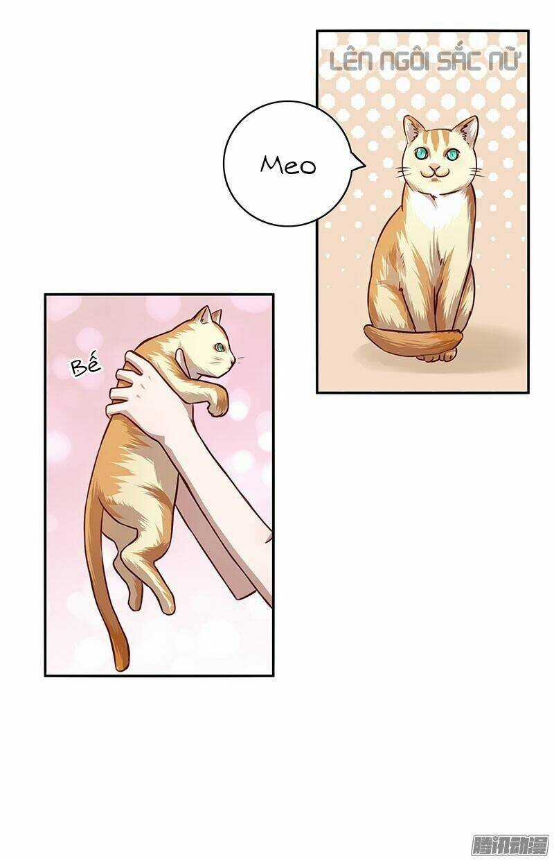 Vợ Yêu Của Ác Ma - Chapter 5 - Trang 20