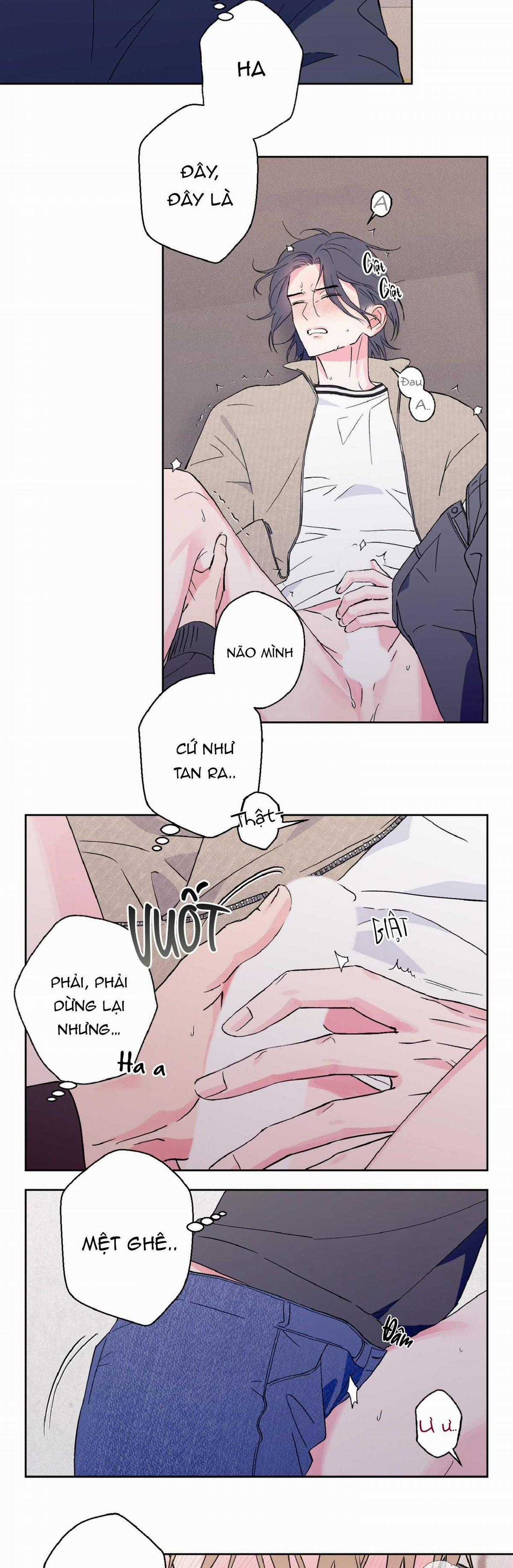 Vụ Bê Bối Của Beta - Chapter 10 - Trang 5
