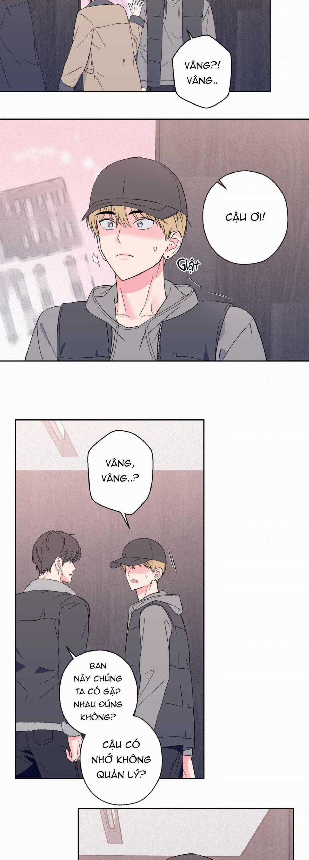 Vụ Bê Bối Của Beta - Chapter 13 - Trang 20