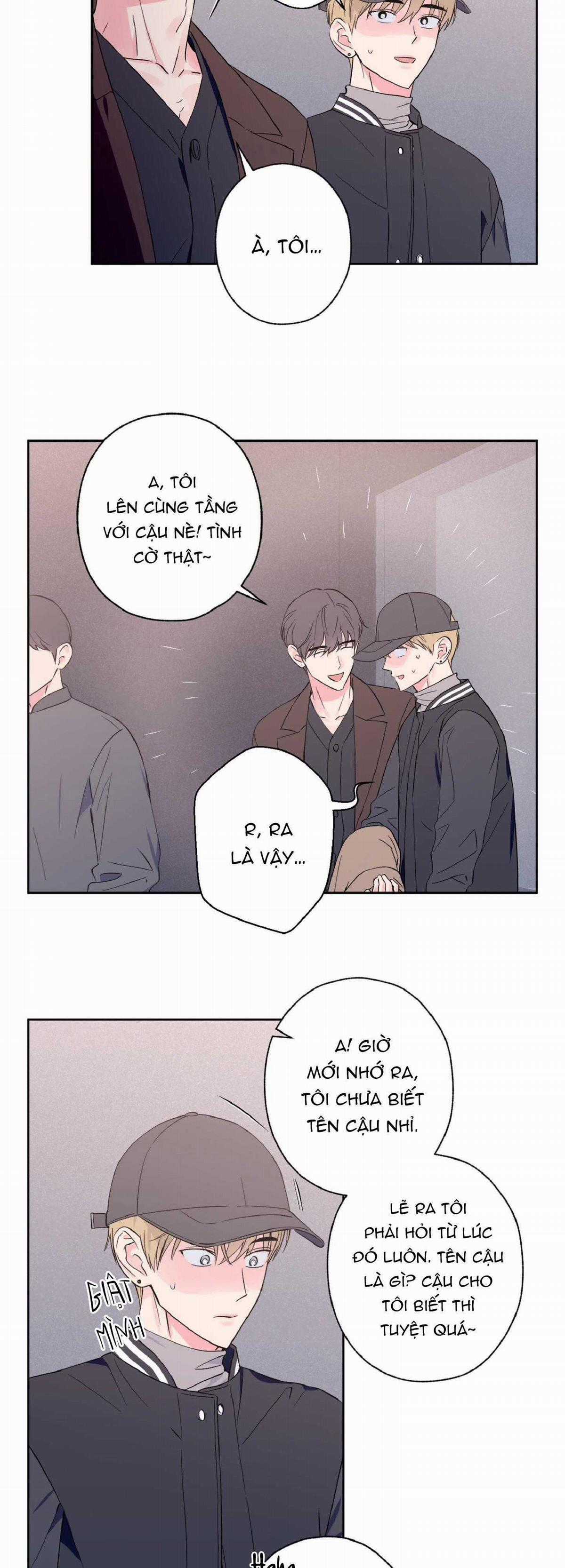 Vụ Bê Bối Của Beta - Chapter 16 - Trang 13