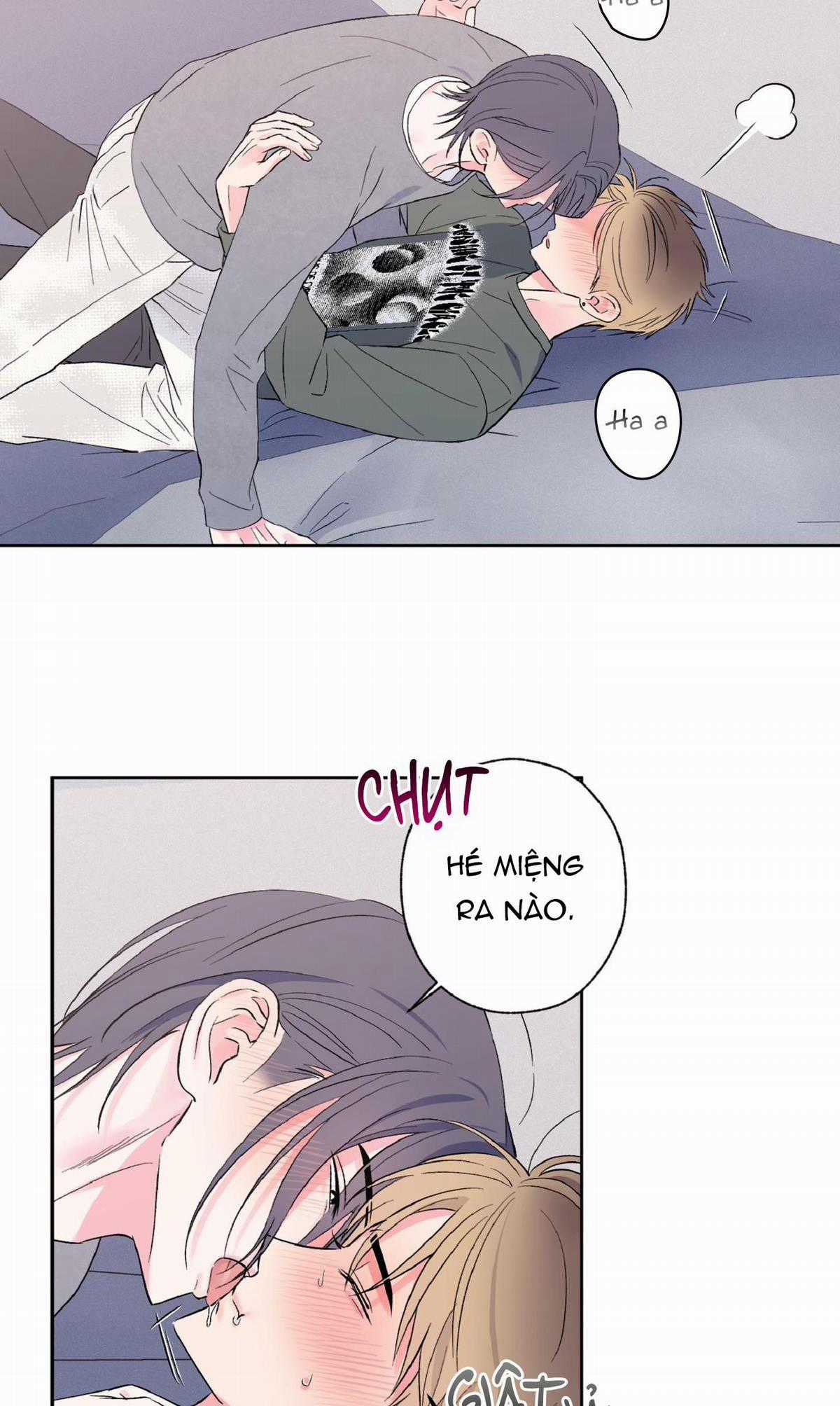 Vụ Bê Bối Của Beta - Chapter 20 - Trang 23