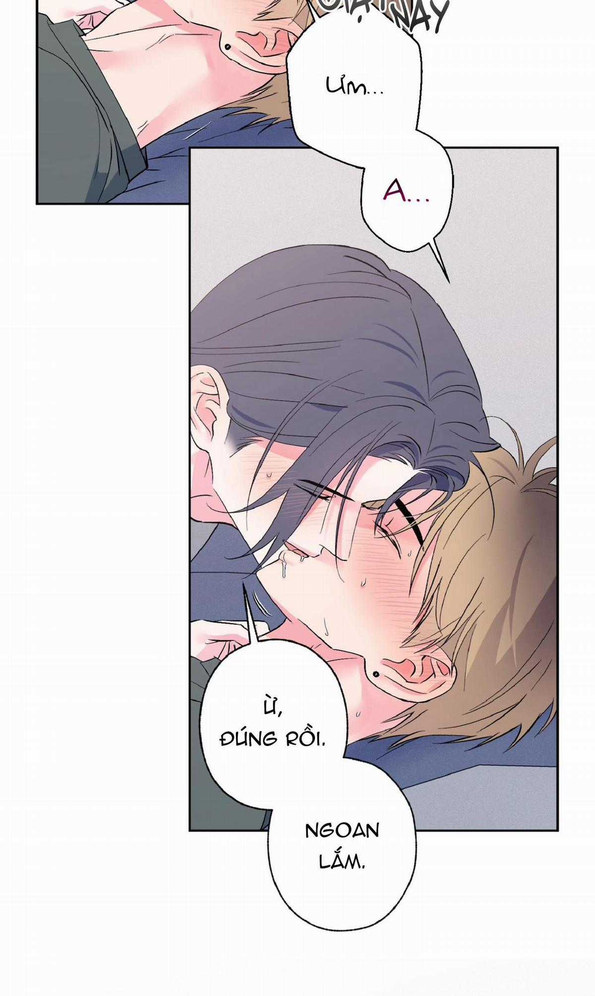 Vụ Bê Bối Của Beta - Chapter 20 - Trang 24