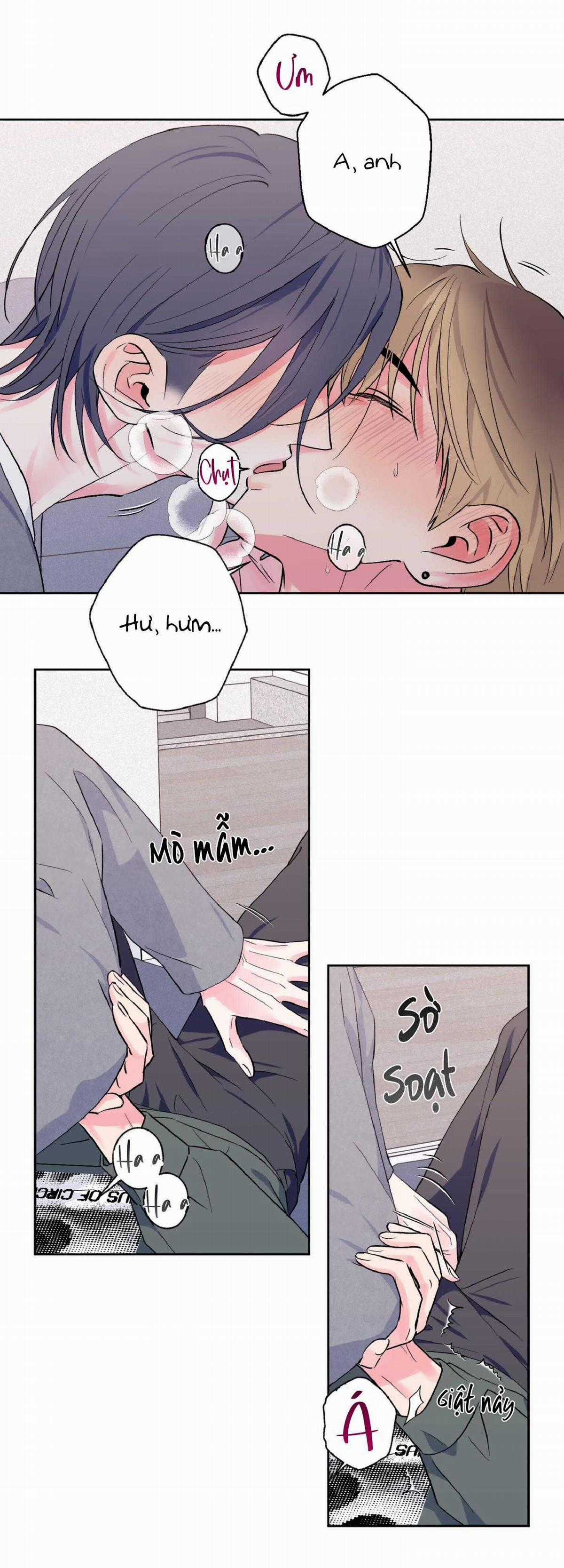 Vụ Bê Bối Của Beta - Chapter 21 - Trang 2