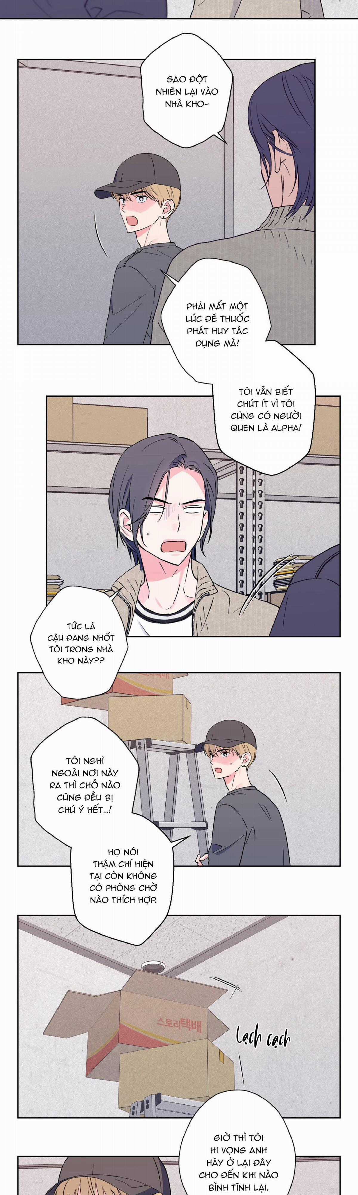 Vụ Bê Bối Của Beta - Chapter 8 - Trang 13