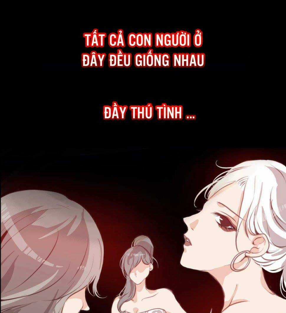 Vũ Đài Tham Vọng - Chapter 1 - Trang 19
