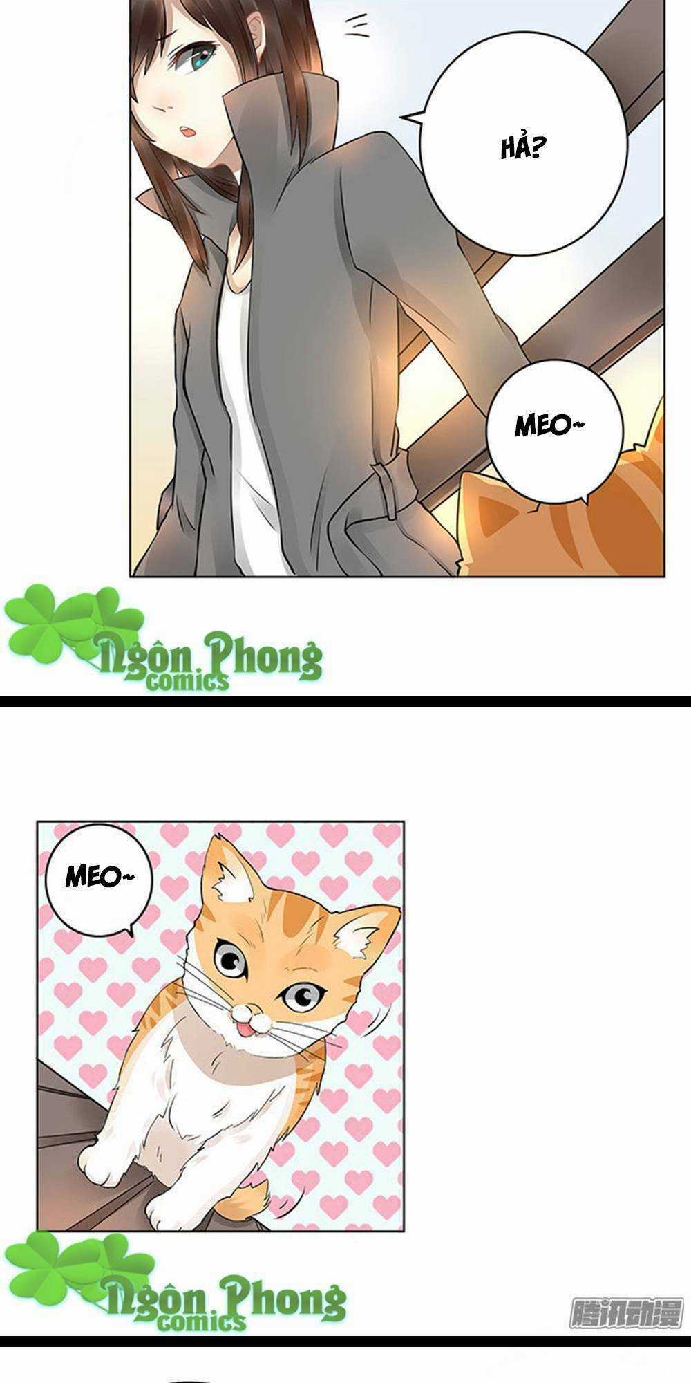 Vũ Hội Thần Bí - Chapter 6 - Trang 22