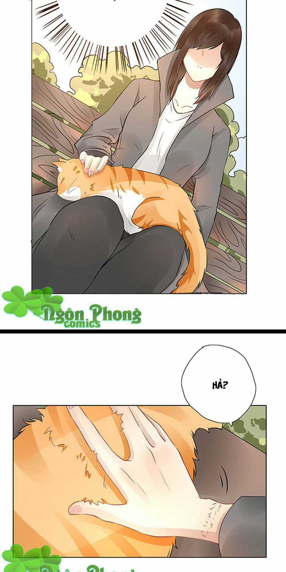 Vũ Hội Thần Bí - Chapter 6 - Trang 26