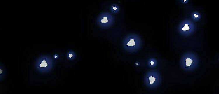 Vũ Tẫn - Chapter 2 - Trang 19