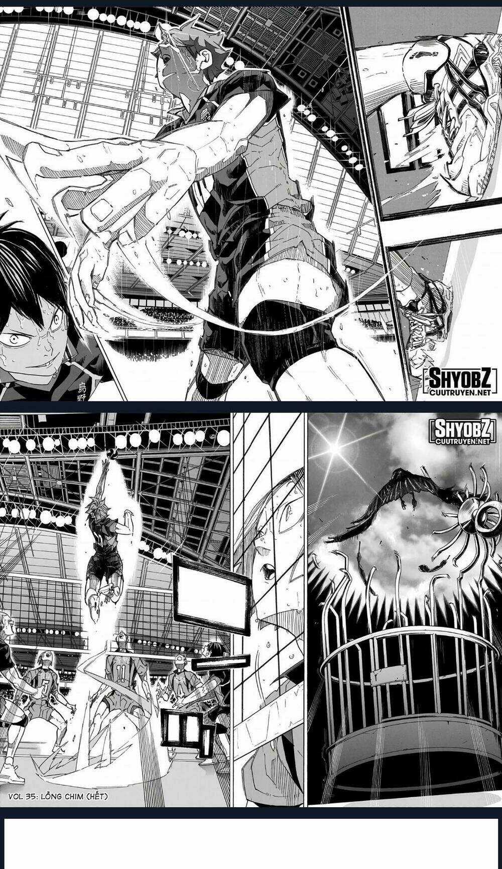 Vua Bóng Chuyền - Chapter 314 - Trang 11