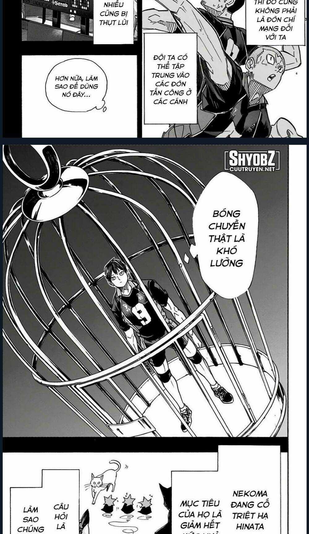 Vua Bóng Chuyền - Chapter 314 - Trang 3