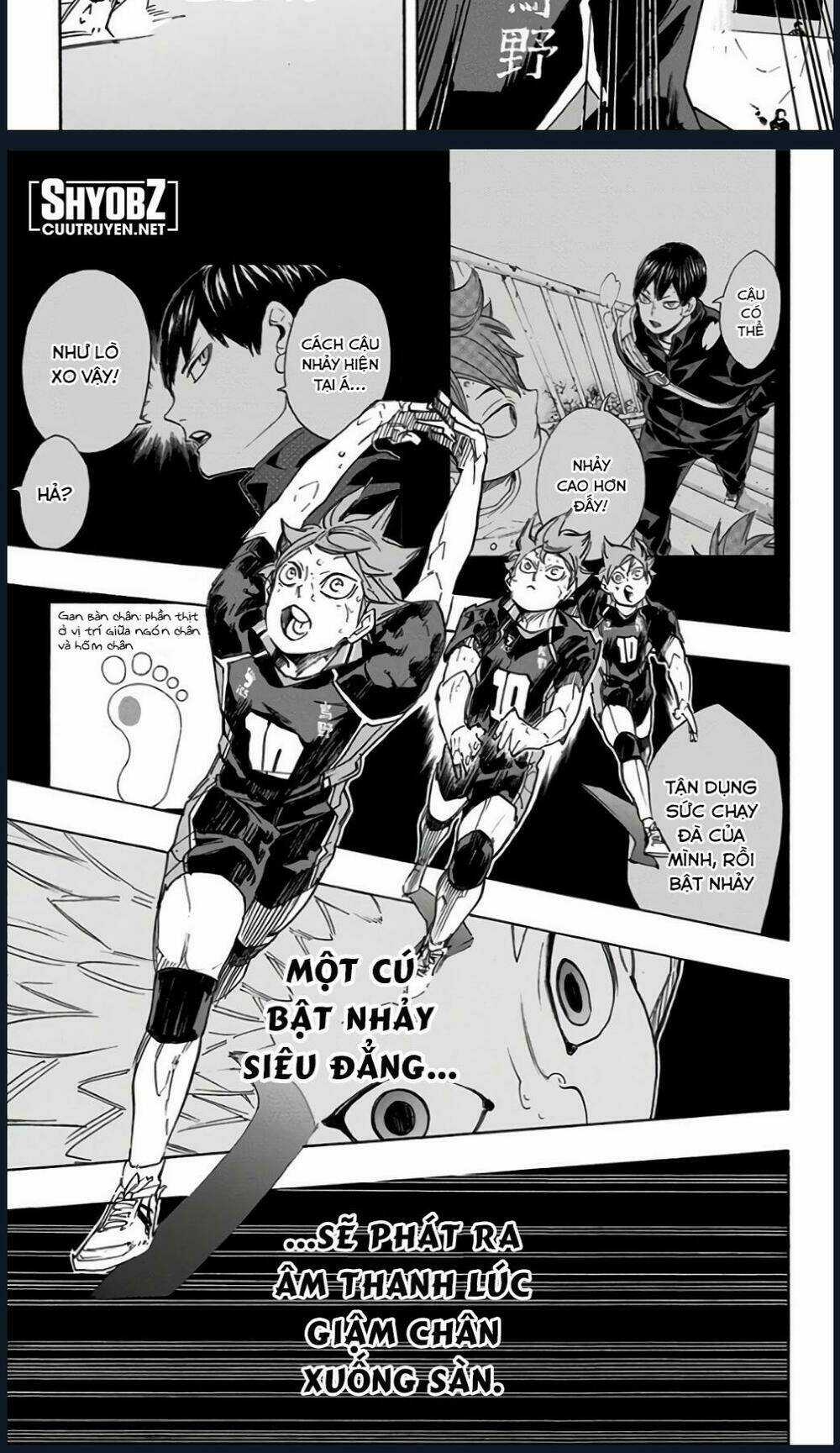 Vua Bóng Chuyền - Chapter 314 - Trang 10