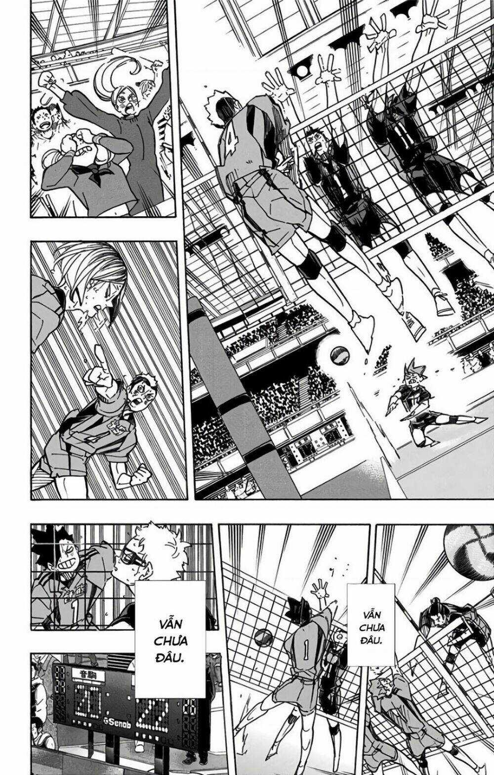 Vua Bóng Chuyền - Chapter 323 - Trang 9