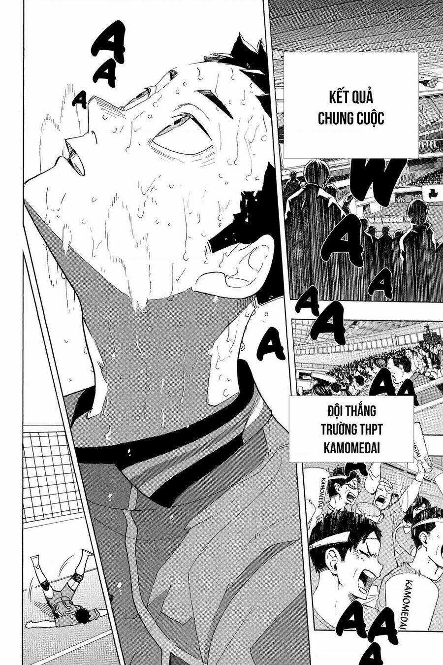 Vua Bóng Chuyền - Chapter 368 - Trang 3