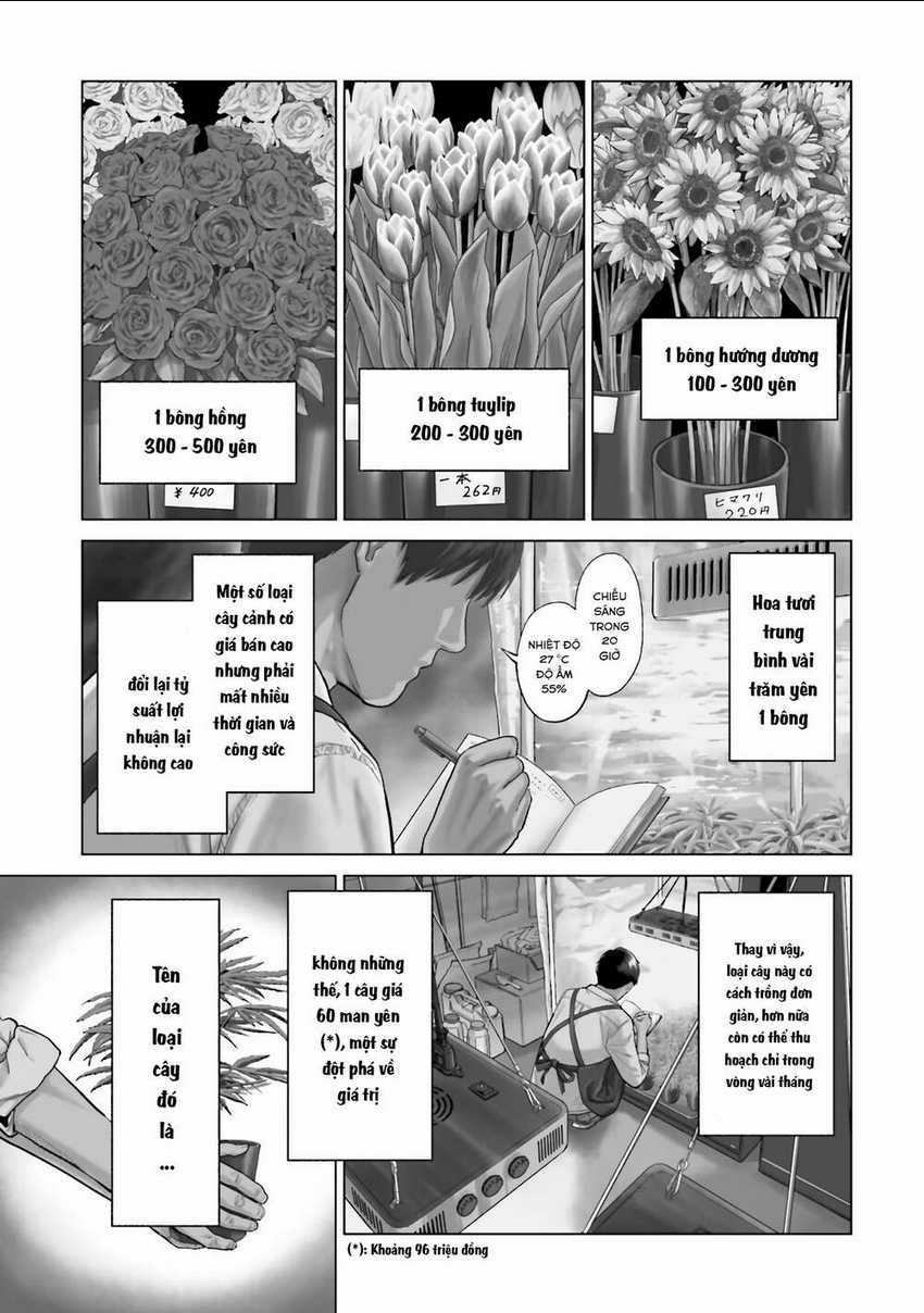Vua Cần Sa - Chapter 1 - Trang 5