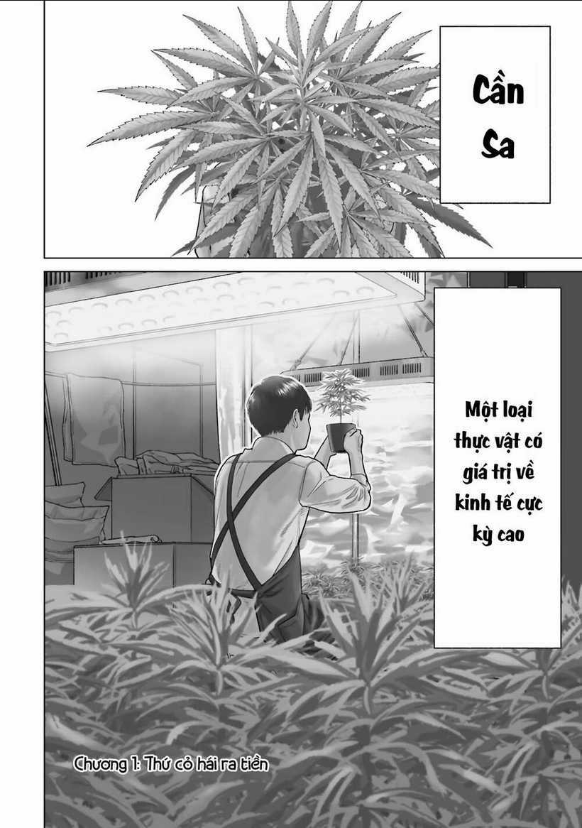 Vua Cần Sa - Chapter 1 - Trang 6
