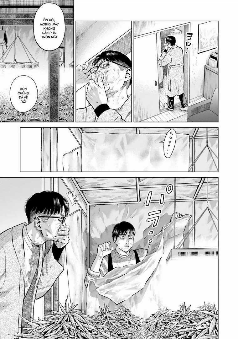 Vua Cần Sa - Chapter 11 - Trang 12