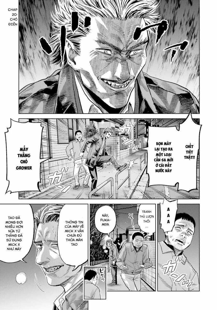 Vua Cần Sa - Chapter 20 - Trang 3