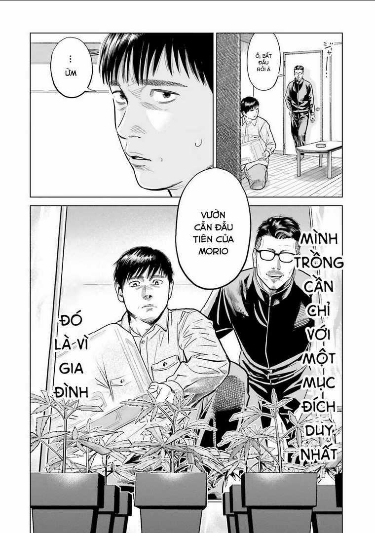 Vua Cần Sa - Chapter 6 - Trang 15