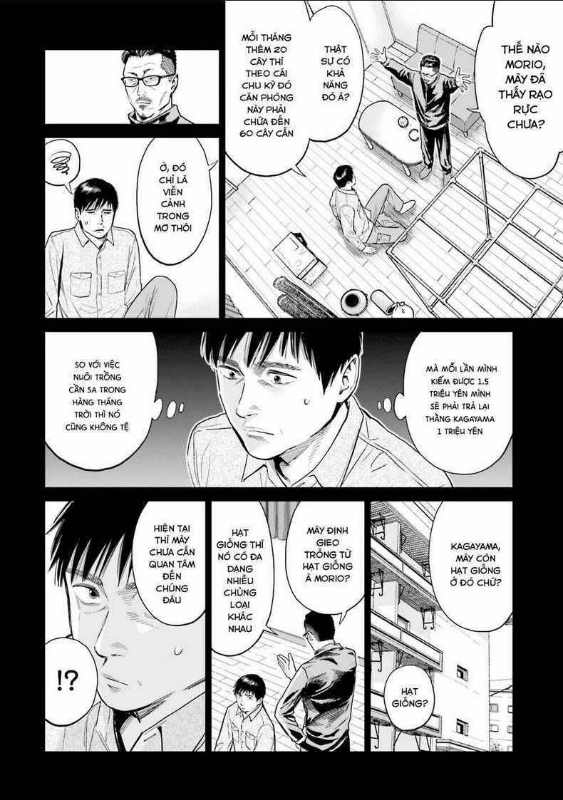 Vua Cần Sa - Chapter 7 - Trang 7