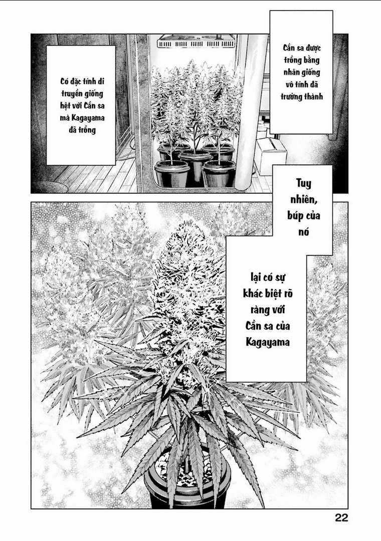 Vua Cần Sa - Chapter 8 - Trang 22