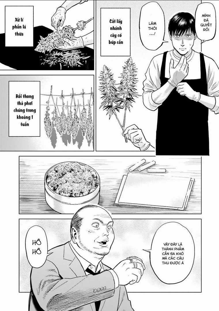 Vua Cần Sa - Chapter 9 - Trang 8