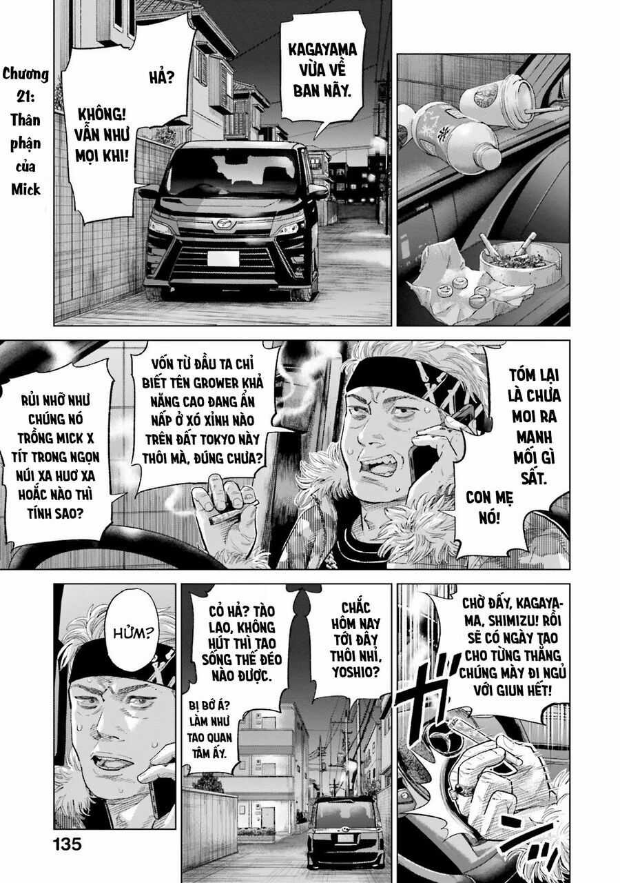 Vua Cần Sa - Chương 21 - Trang 3