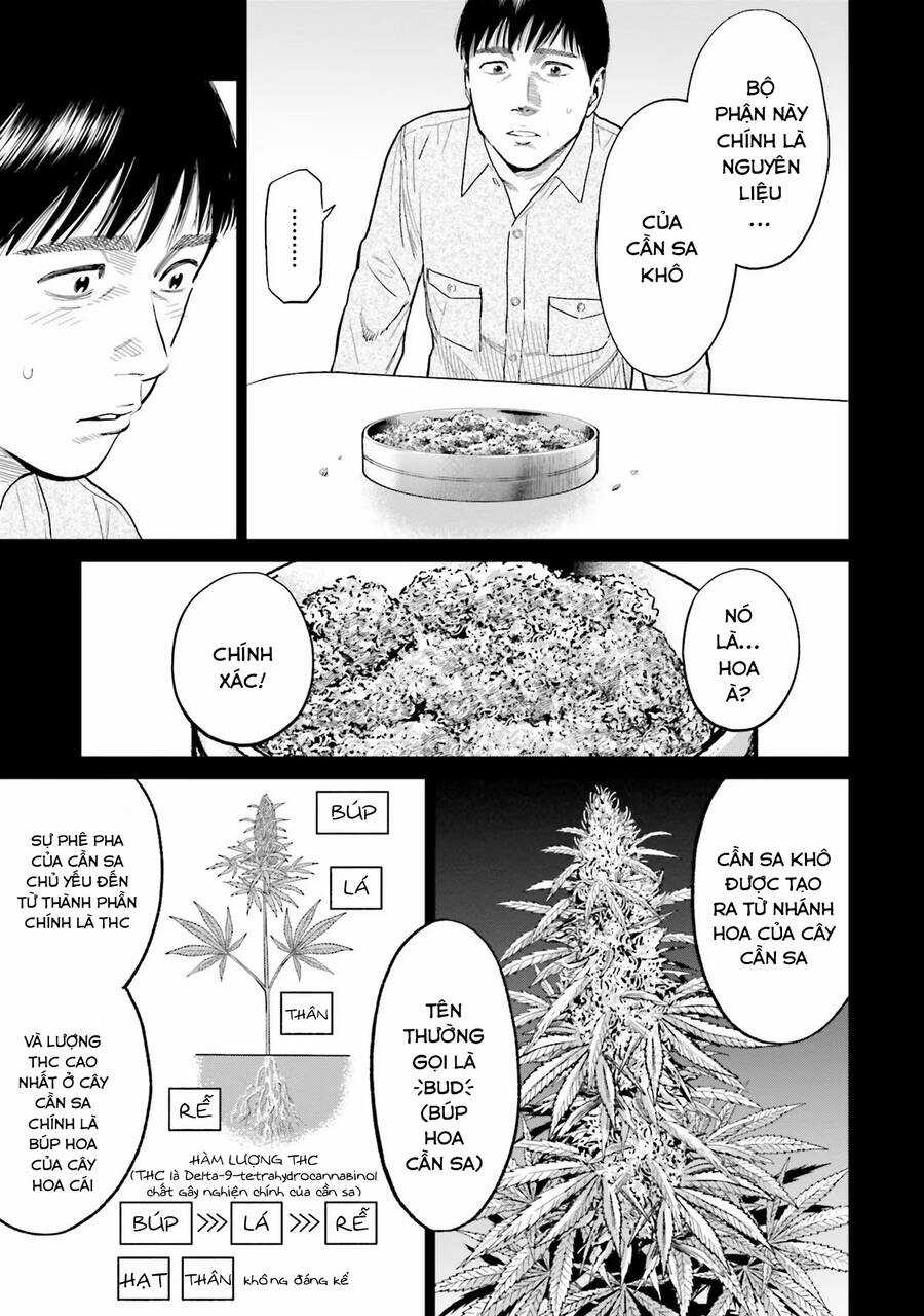 Vua Cần Sa - Chương 7 - Trang 4