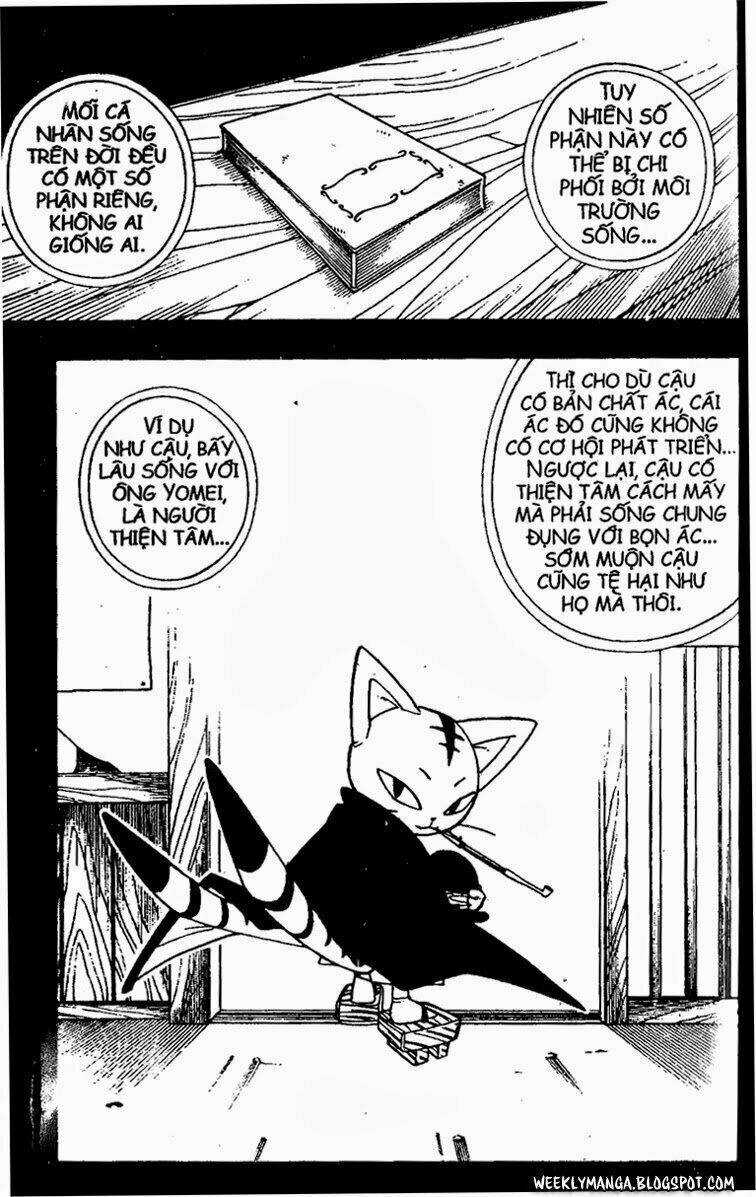 Vua Pháp Thuật - Chapter 164 - Trang 20