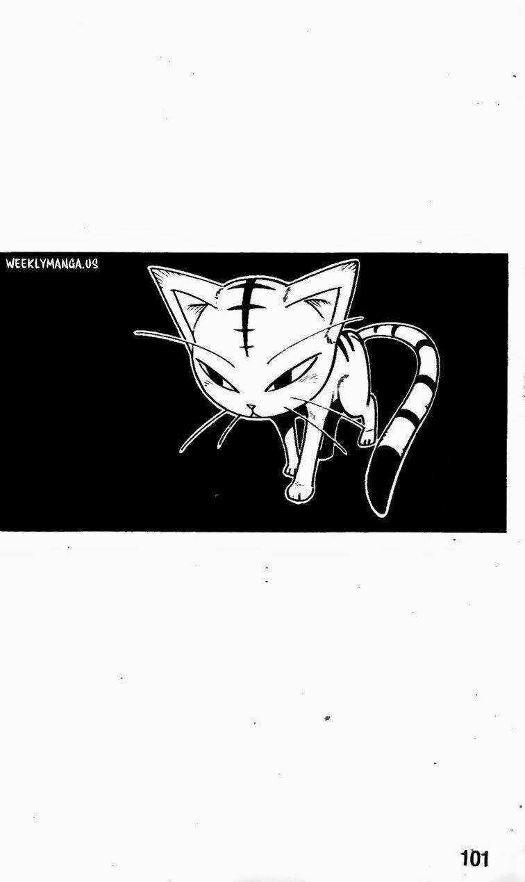 Vua Pháp Thuật - Chapter 177 - Trang 5