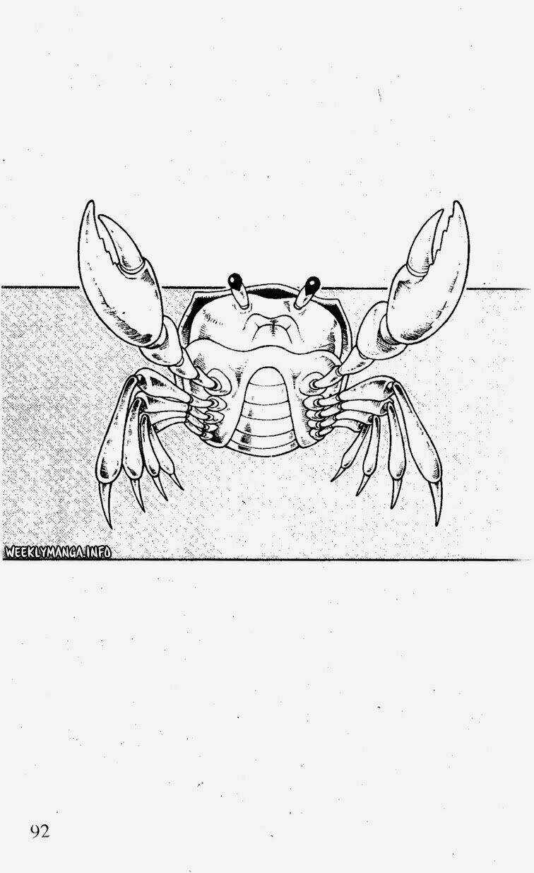 Vua Pháp Thuật - Chapter 182 - Trang 19