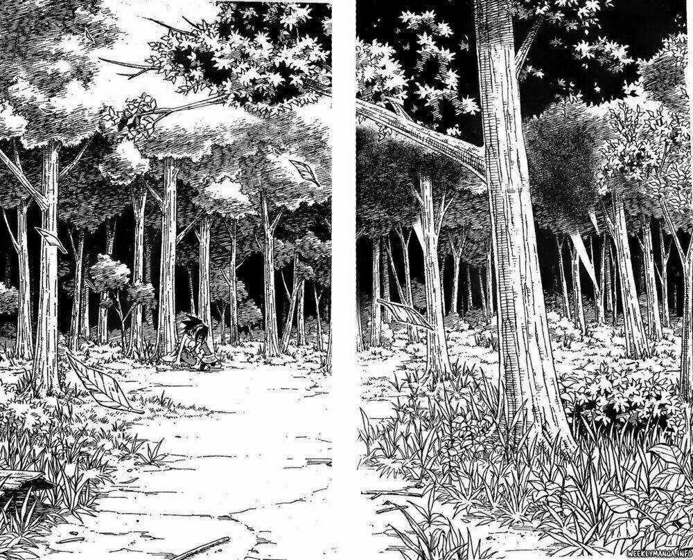 Vua Pháp Thuật - Chapter 195 - Trang 12