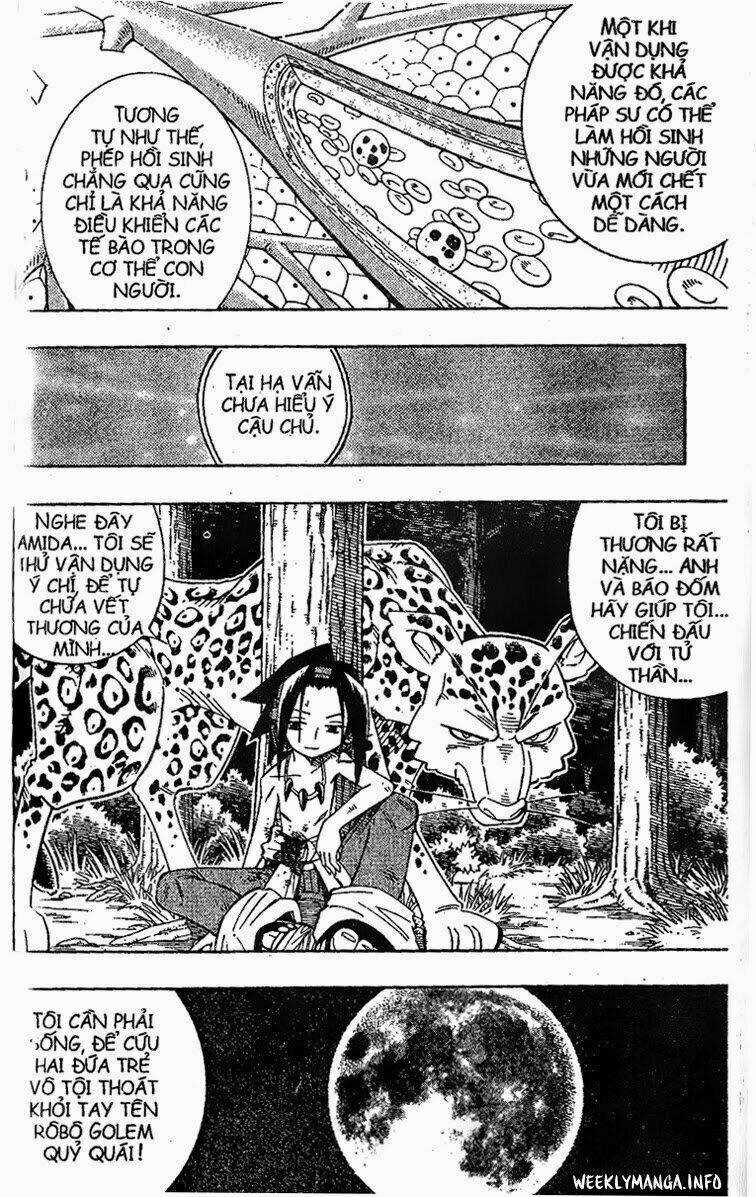 Vua Pháp Thuật - Chapter 195 - Trang 16