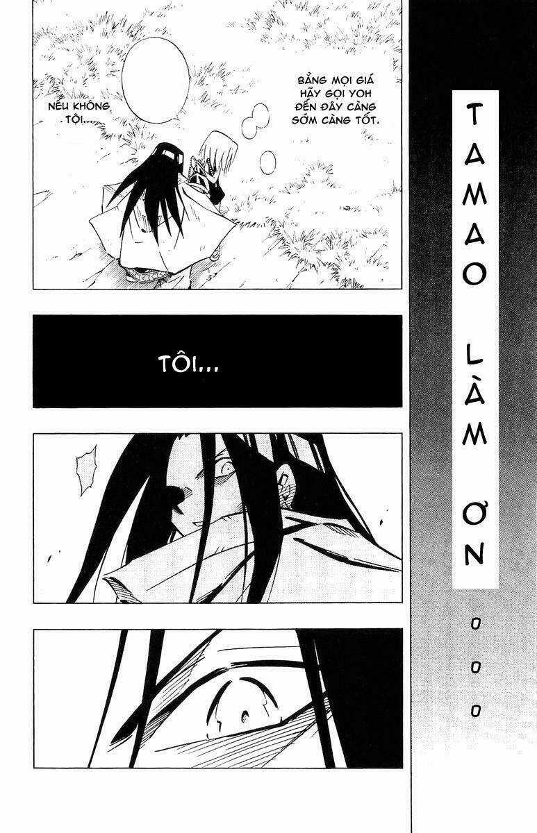 Vua Pháp Thuật - Chapter 245 - Trang 16