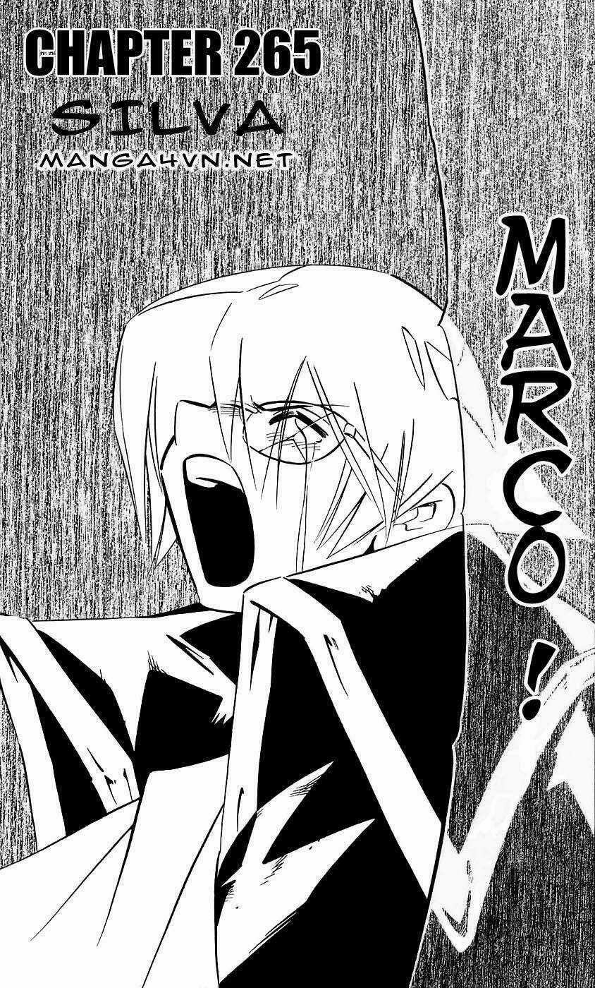 Vua Pháp Thuật - Chapter 265 - Trang 3