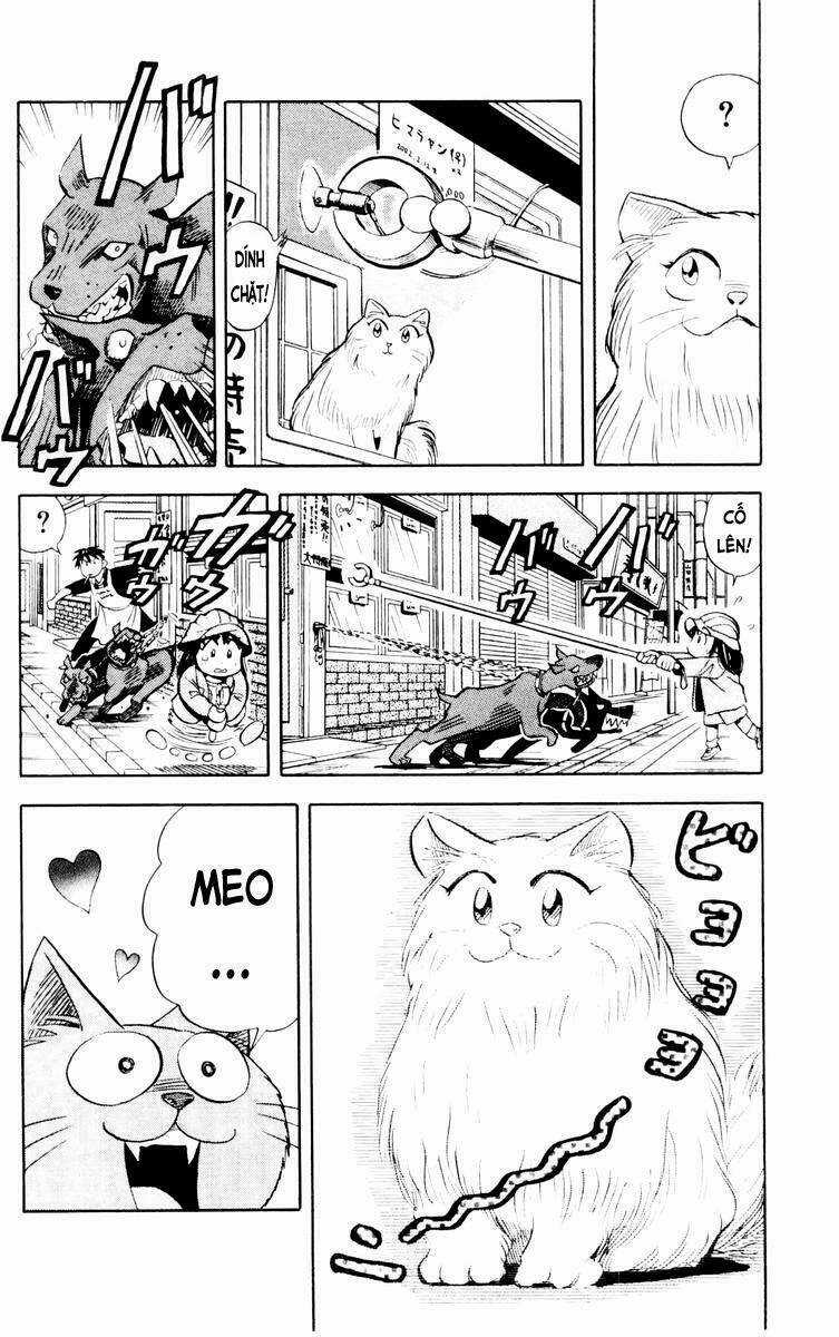 Vua Sáng Chế - Chapter 24 - Trang 8