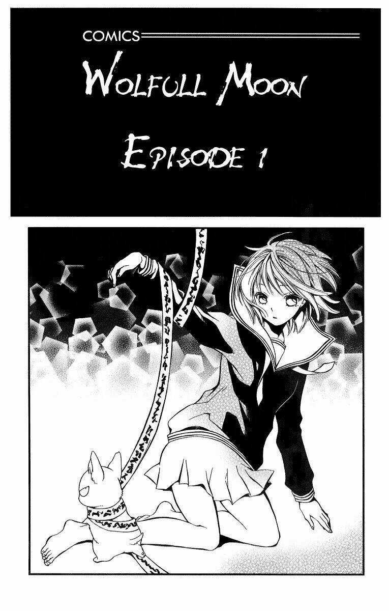 Vua Sói Và Nữ Pháp Sư - Chapter 1 - Trang 3