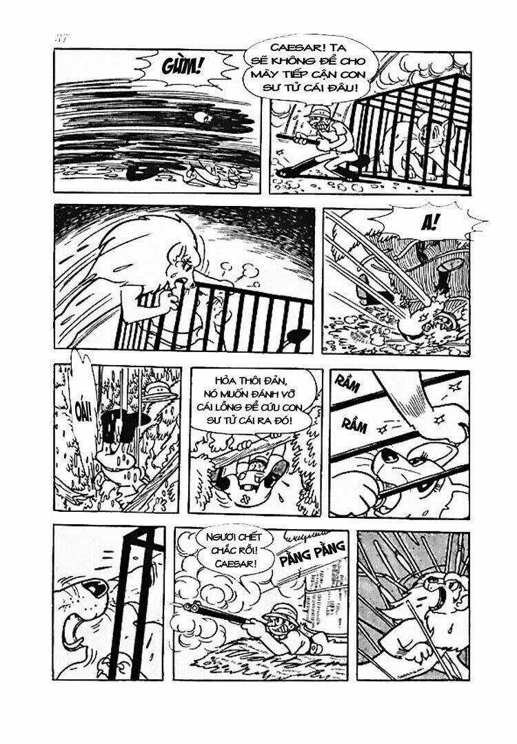 Vua Sư Tử - Chapter 0 - Trang 35